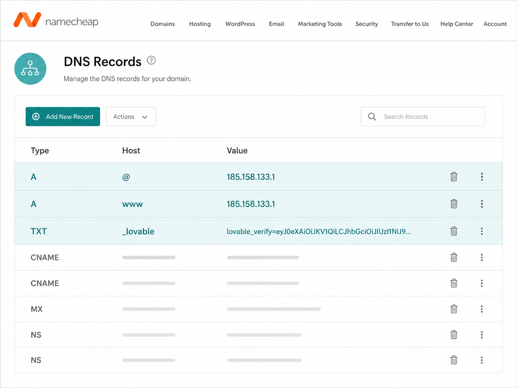 Screenshot showing DNS records to add in Namecheap